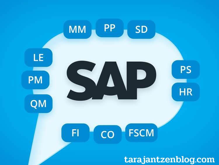 โปรแกรมSAP หรือ SAP Technology เป็นสิ่งที่ทำให้ SAP เป็นแพลตฟอร์มที่ยอดเยี่ยมในการพัฒนาระบบ จียูไอ ด้วย SAP Technology ล้ำสมัยคือ SAP